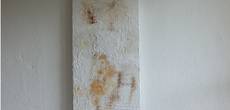 Bild 23